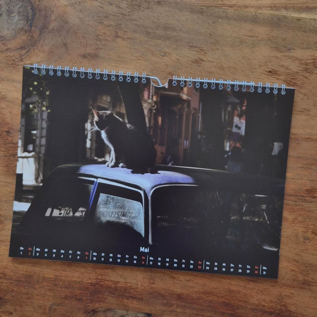 Photo of the calender showing the month of May. A Cat sitting on the roof of a car.