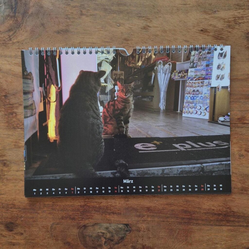 Photo of the calender showing the month of July. A Cat on Taksim Square looking back over her back directly into the camera