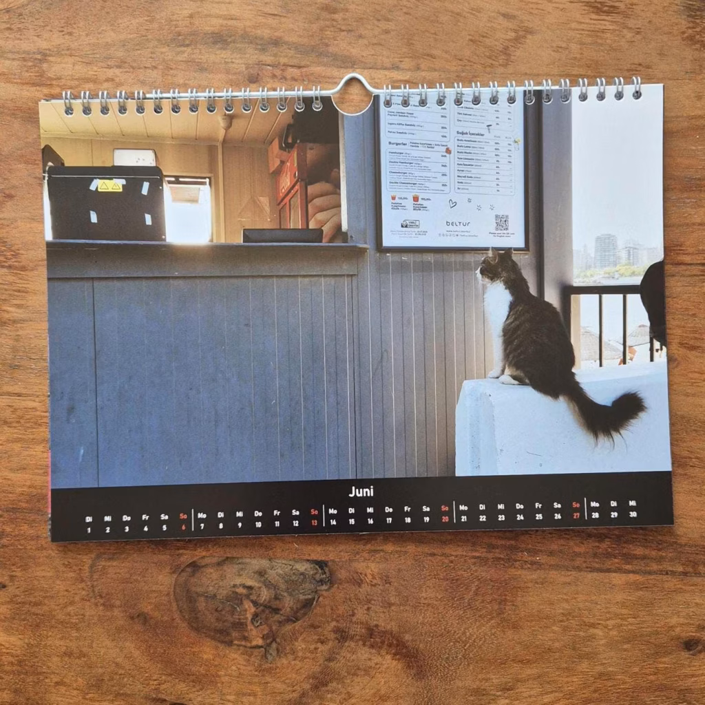 Photo of the calender showing the month of Juni. A Cat on a podest next to a foodstall and looking at the menu