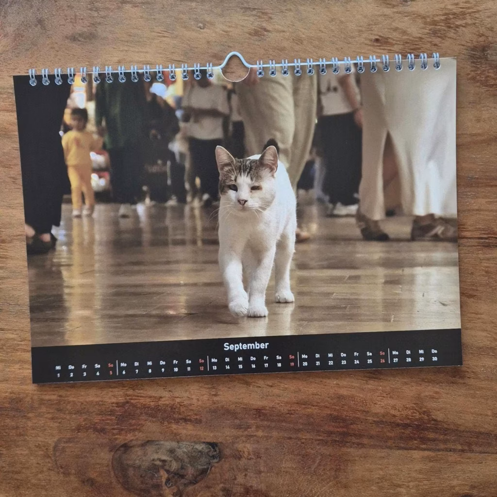 Photo of the calender showing the month of September. A Cat walkin towards the camera 